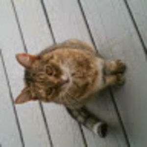 Meet your Posher, Terry